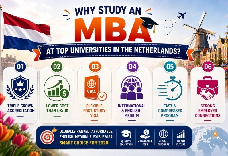 Why Study an MBA at Top Universities in the Netherlands?