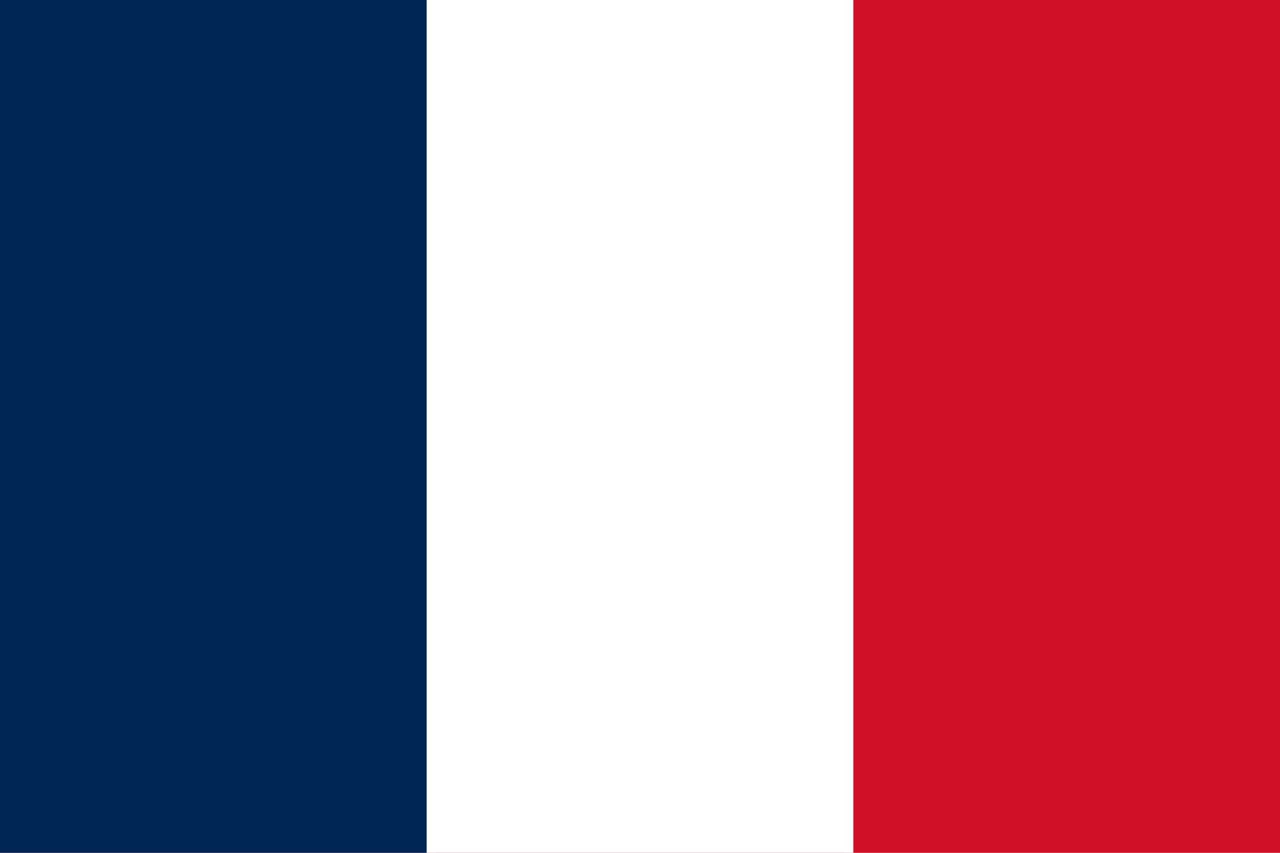 france flag flag