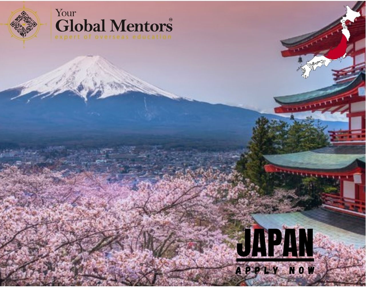 study in japan