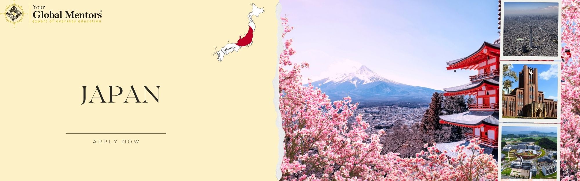study in japan