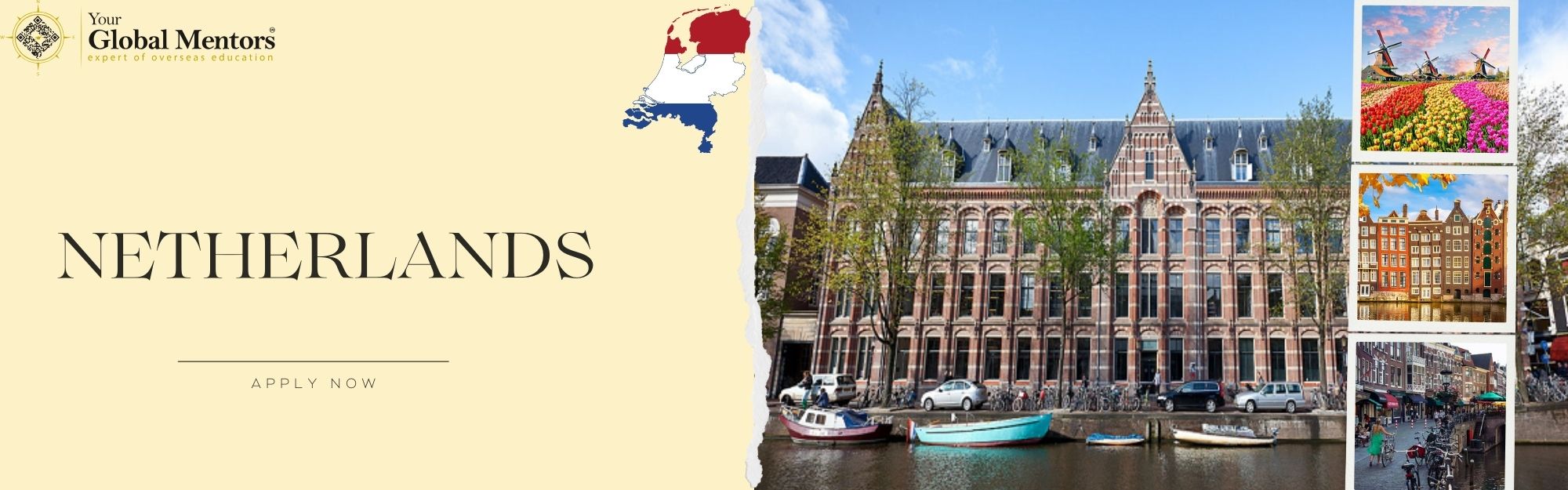 study in netherlands