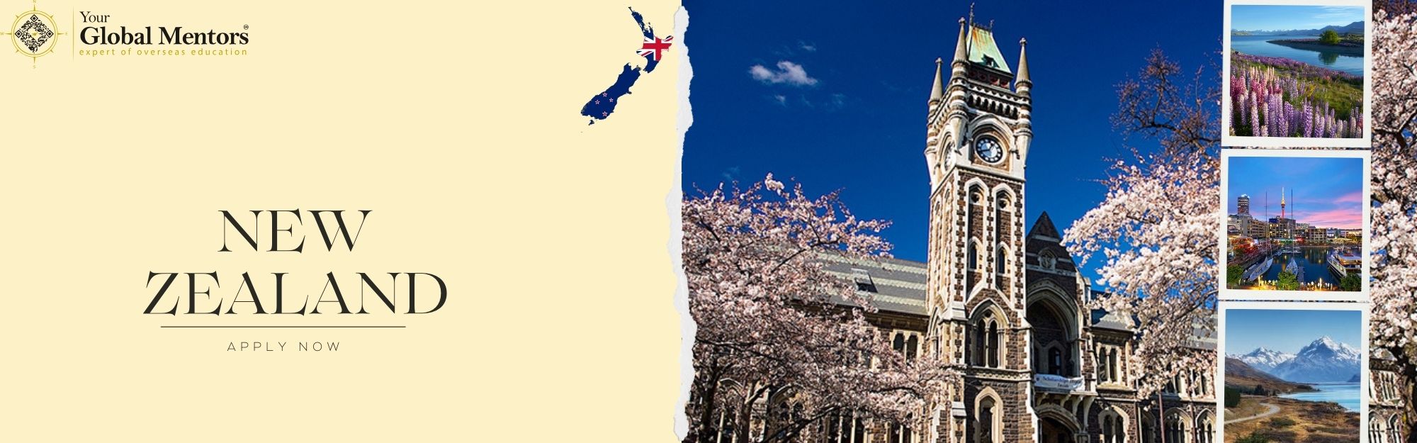 study in new zeland