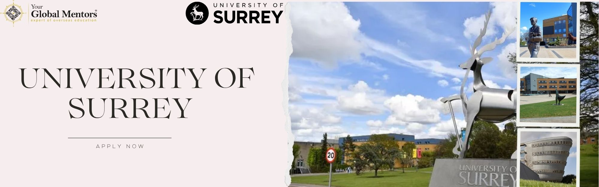 University of Surrey