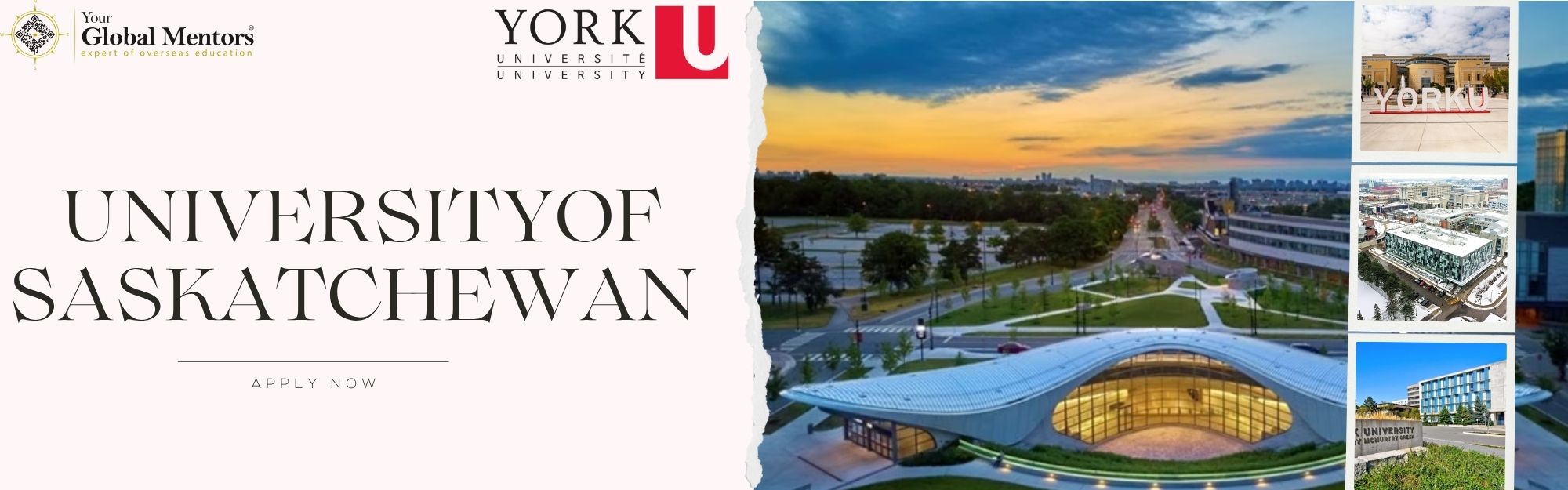 York University