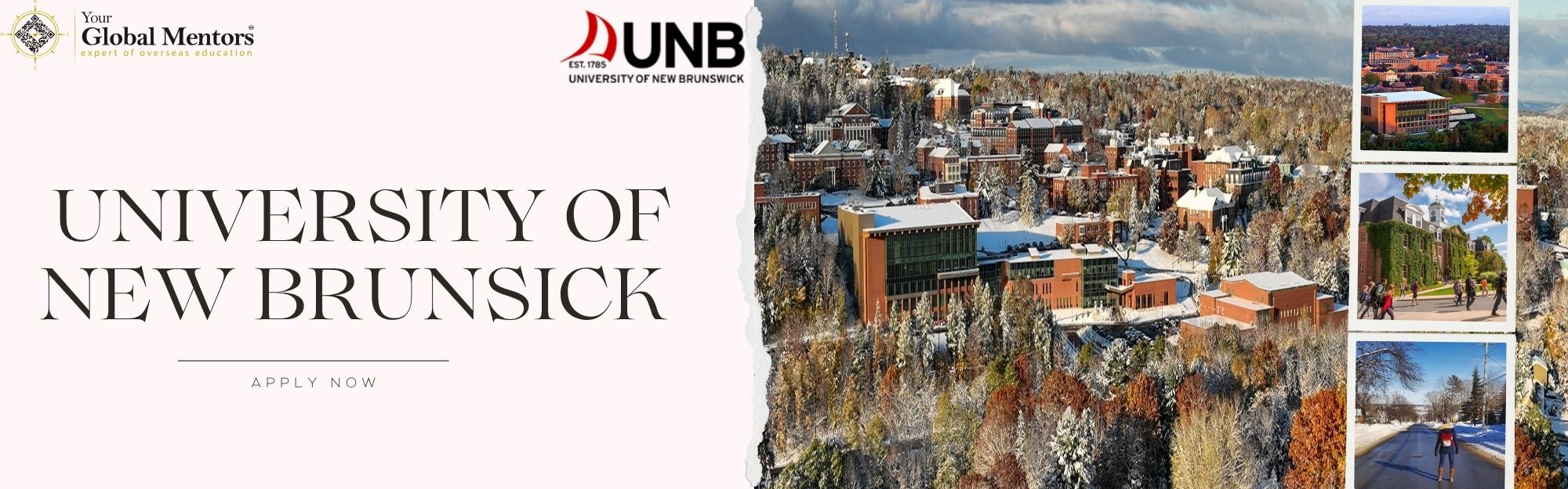 University of New Brunswick