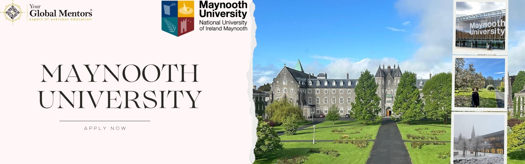 Maynooth University