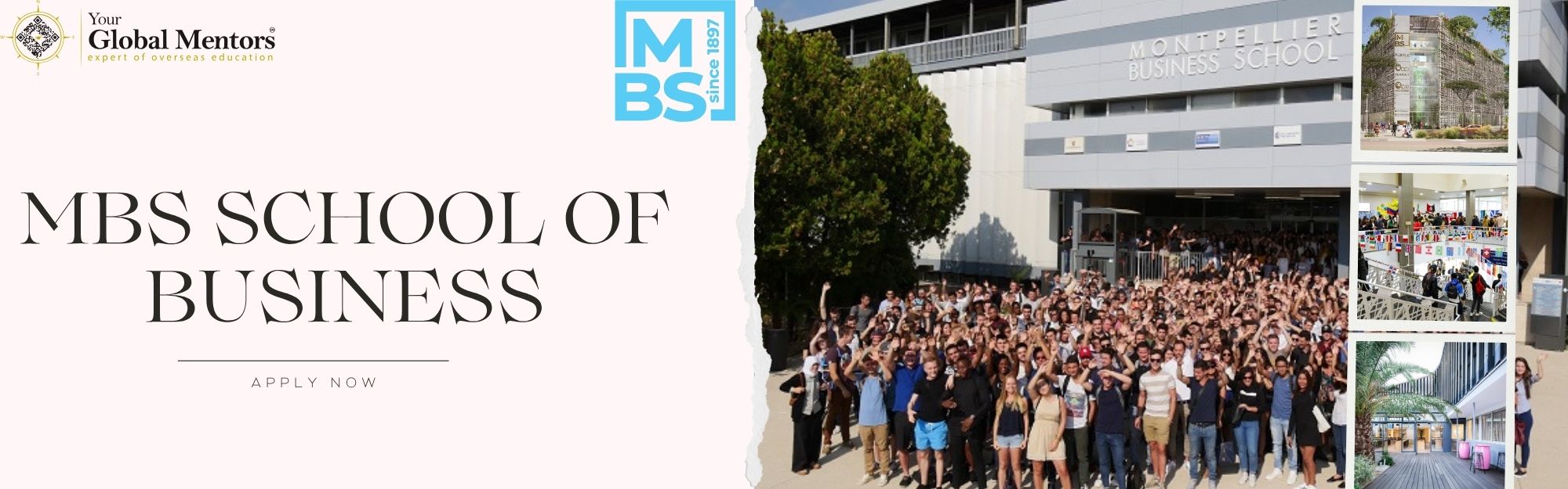 MBS School of Business