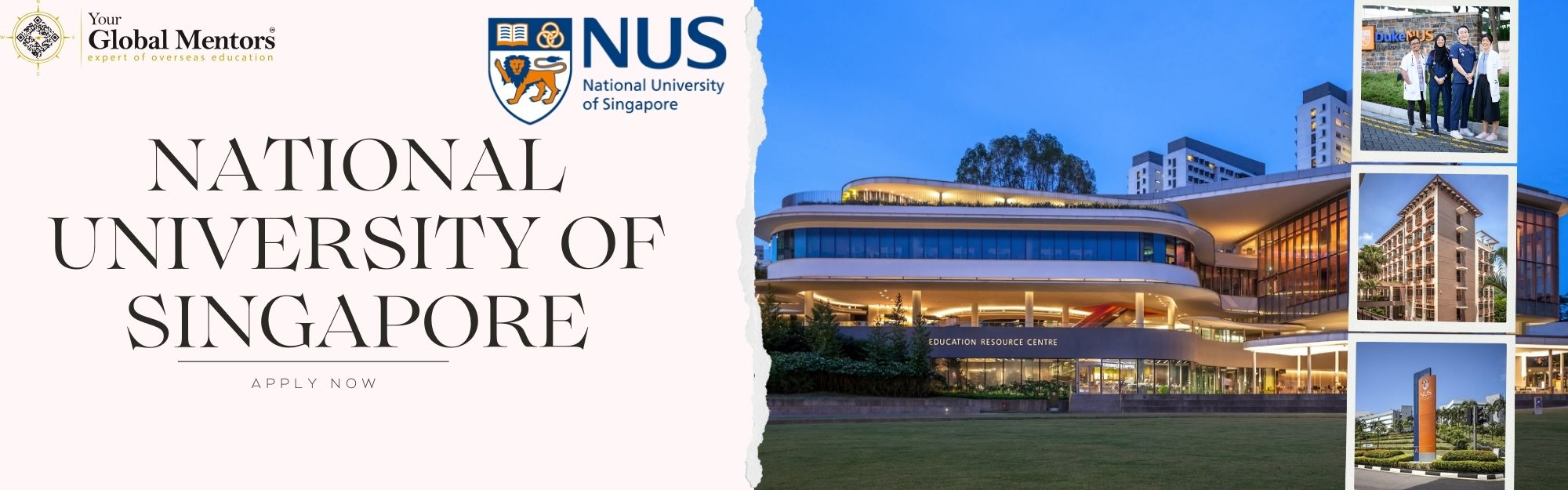 National University of Singapore